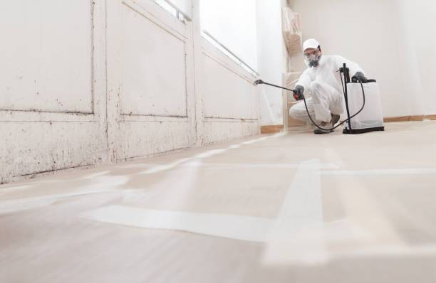 Post-remediation clearance in Northport